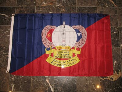 外 Cold War Veteran Association American Flag亚马逊WISH EBAY