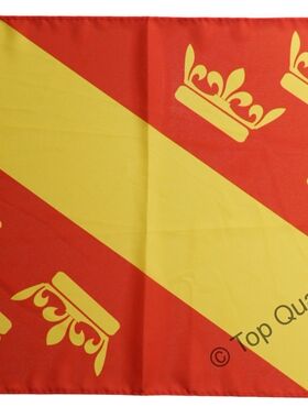 外贸货源法国上莱茵France Haut-Rhin Flag亚马逊WISH EBAY热卖