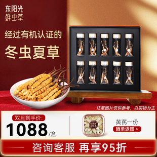 东阳光鲜虫草官方旗舰店正品 30根冬虫夏草礼盒送礼营养品补品滋补
