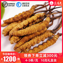 东阳光冬虫夏草10克礼盒包装4-5根/克新鲜航天冻干虫草正品