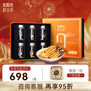 东阳光冬虫夏草官方旗舰店正品冻干虫草礼盒6克冬虫草滋补送礼