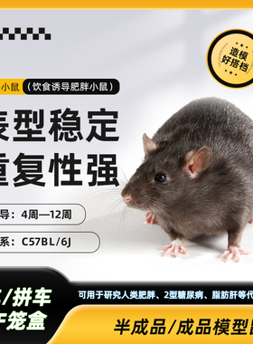 DIO小鼠 饮食诱导肥胖小鼠