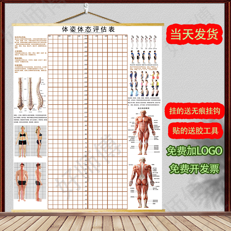 体态评估图健身房体测表瑜伽私教站姿形体脊椎修复身体装饰-封面