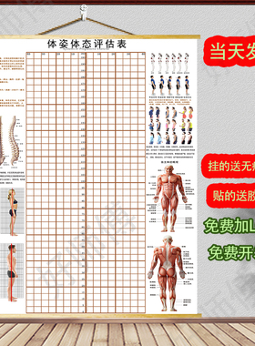体态评估图健身房体测表瑜伽私教站姿形体脊椎修复身体装饰