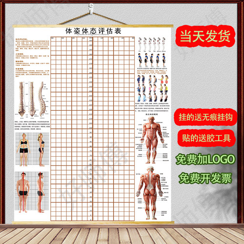 体态评估图健身房体测身体表