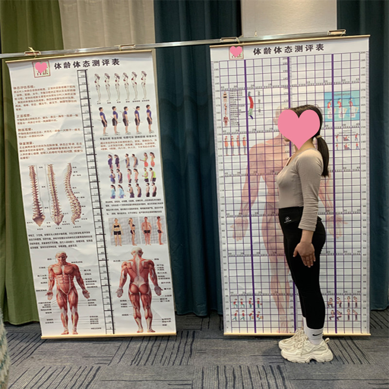 体态评估表健身私销售链拖拽效果尤克丽体测表挂式体测评估表定制