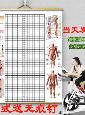 挂式体态评估表体测健身房私教身体矫正网格中医工作室背景墙贴图