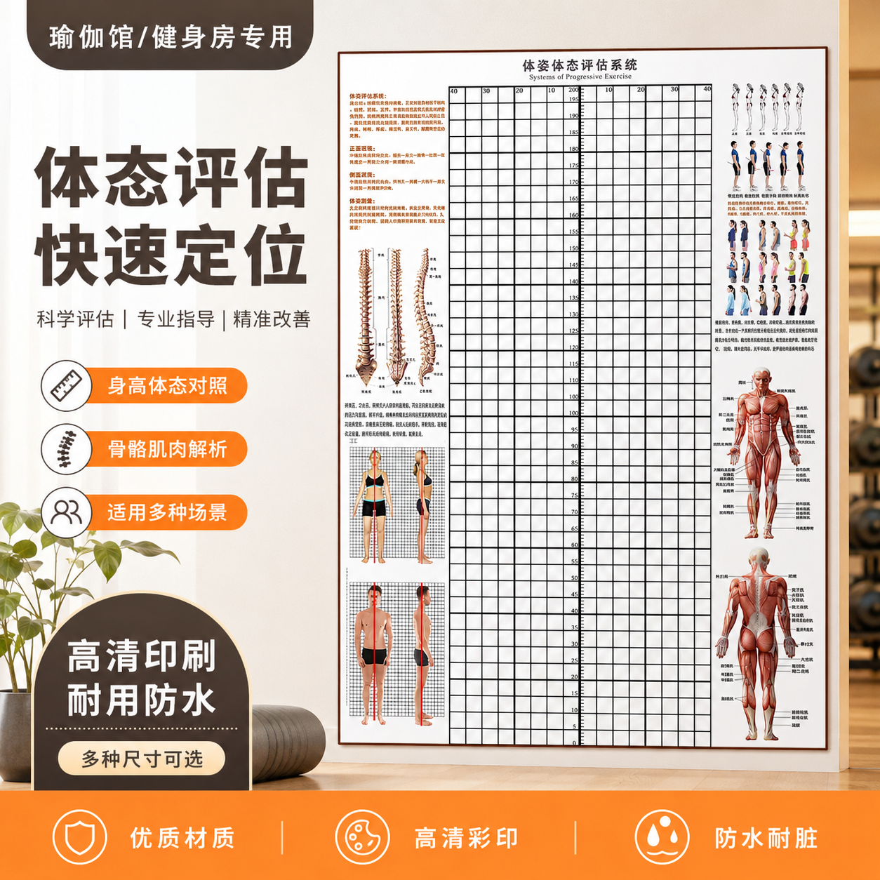 贴式体态评估表体测健身房私教身体矫正网格中医工作室背景墙纸图