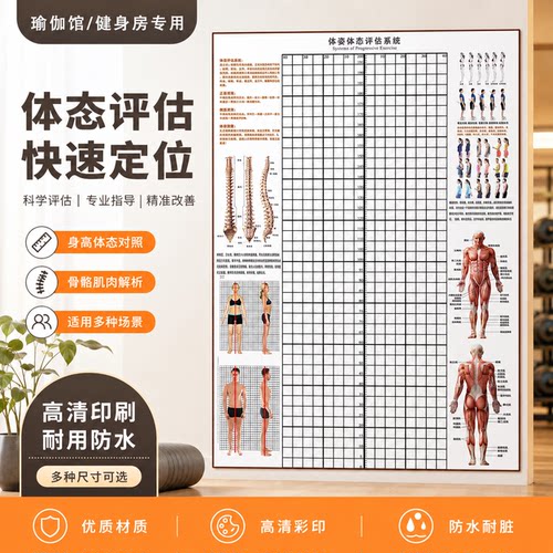 免费加logo体态评估表墙贴评估图
