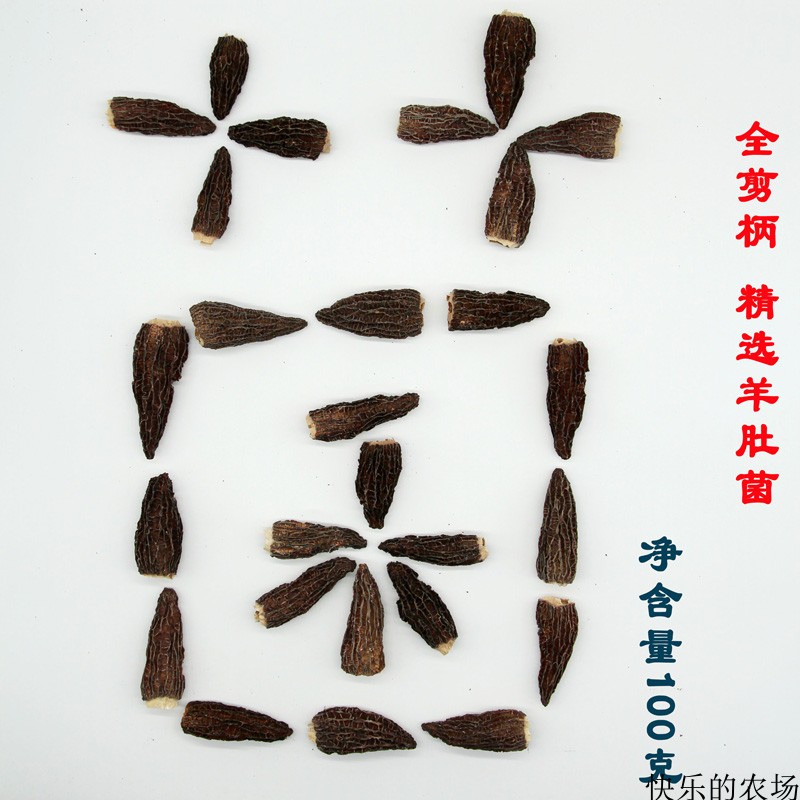 四川羊肚菌特级100g满竹荪食用菌