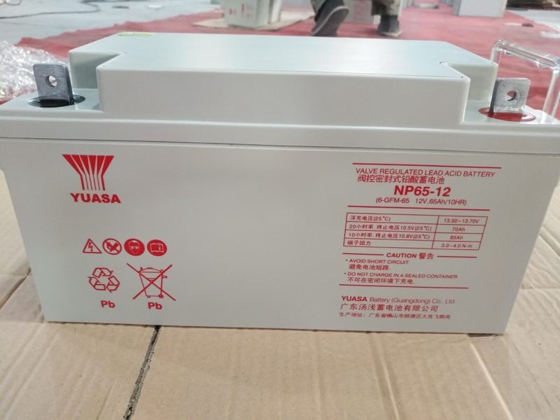 汤浅蓄电池12V65AH NP12-65太阳能通讯UPS免维护铅酸免维护蓄电池