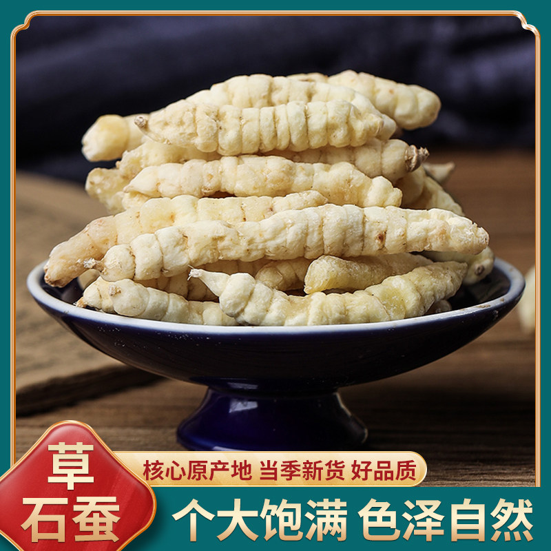 草石蚕甄选野生食用农产品四川特产土虫草泽兰根新鲜干货500克包