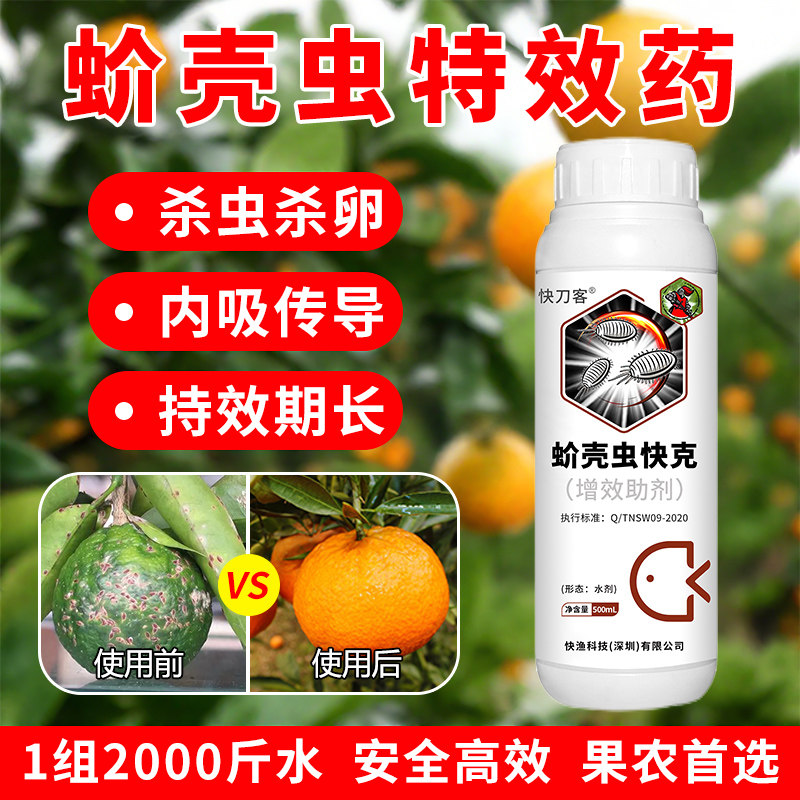 蚧壳虫快克柑橘蚧壳虫特效药