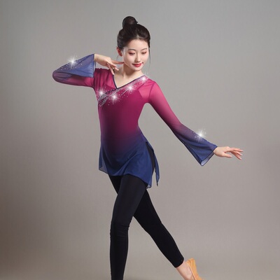 古典舞韵纱衣艺考舞蹈服中国舞基训服渐变长袖带钻身韵练功服上衣