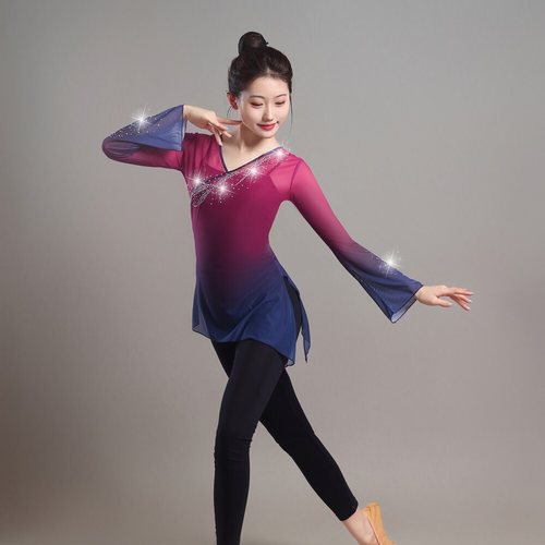 古典舞韵纱衣艺考舞蹈服中国舞基训服渐变长袖带钻身韵练功服上衣
