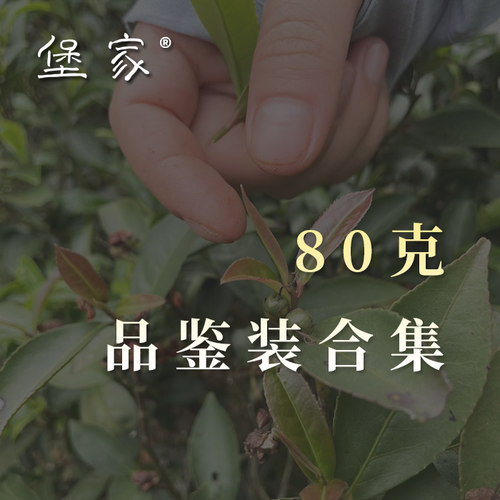 丰富的堡家六堡茶小分量试饮装