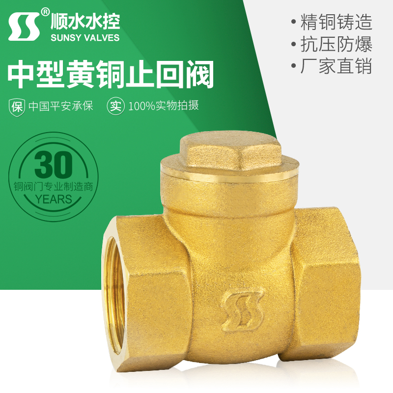 全铜止回阀铜卧式4分6分1寸水泵DN15水管20单向阀25阀门32 40 50