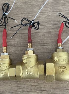 挡板式DN32/40/50缺水保护水流开关4/6分流量控制传感器感应开关