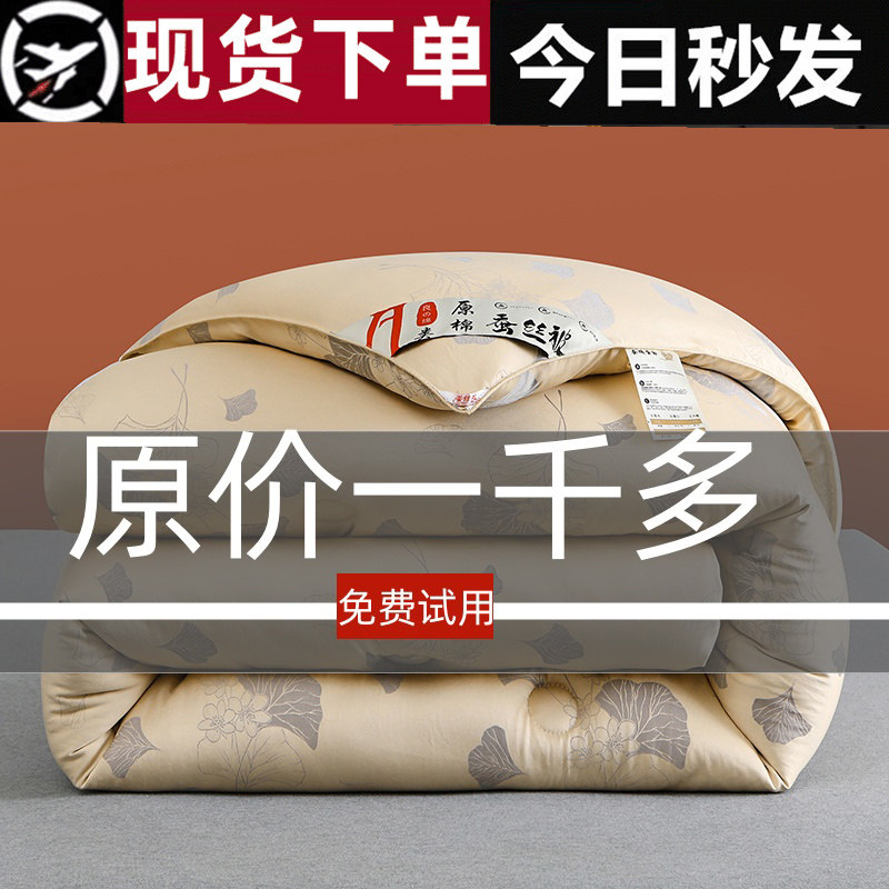 出口A类蚕丝被100桑蚕丝加厚保暖双人10斤冬被春秋被子四季棉被芯