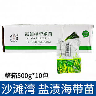 沙滩湾盐渍海带嫩苗500g*10包裙带海藻草海菠菜凉拌菜火锅食材用