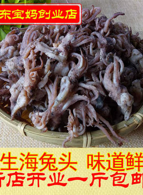 山东特产乌贼头海兔头比管鱼头籽乌头小咸鱼500g包邮