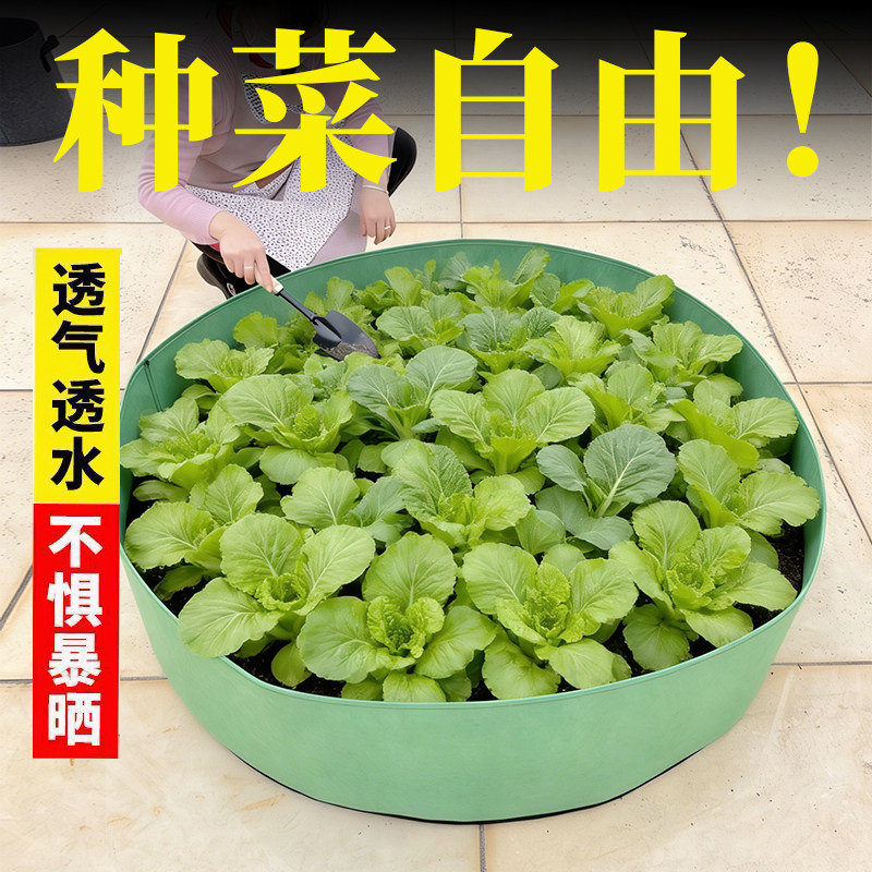 楼顶种菜防腐木花箱美植袋神器图片