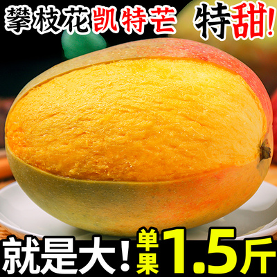 【果园现摘】正宗攀枝花凯特芒