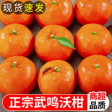 整箱沙糖蜜橘砂糖柑橘桔子 广西武鸣沃柑10斤新鲜橘子水果当季 包邮🍬