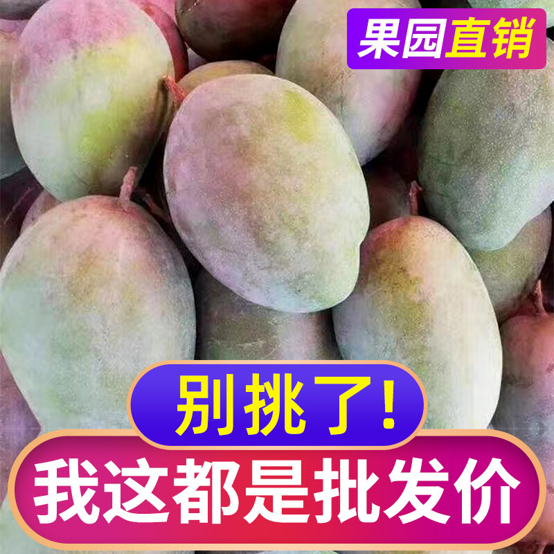 攀枝花凯特芒9斤应季水果新鲜当季整箱现摘大芒果新的大果包邮5|msdalam kategori daging perikanan/Buah-buahan segar dan sayur-sayuran/dimasak, buah-buahan segar, Mango - dari Buy2taobao.com untuk memberikan perkhidmatan ejen Taobao profesional membeli