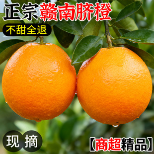 江西赣南脐橙10斤新鲜水果正宗橙子当季特产手剥橙整箱包邮5