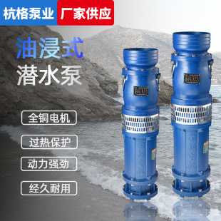 河道取水浇灌泵380V 农田灌溉泵 QY铸铁油浸泵 大流量养殖专用泵