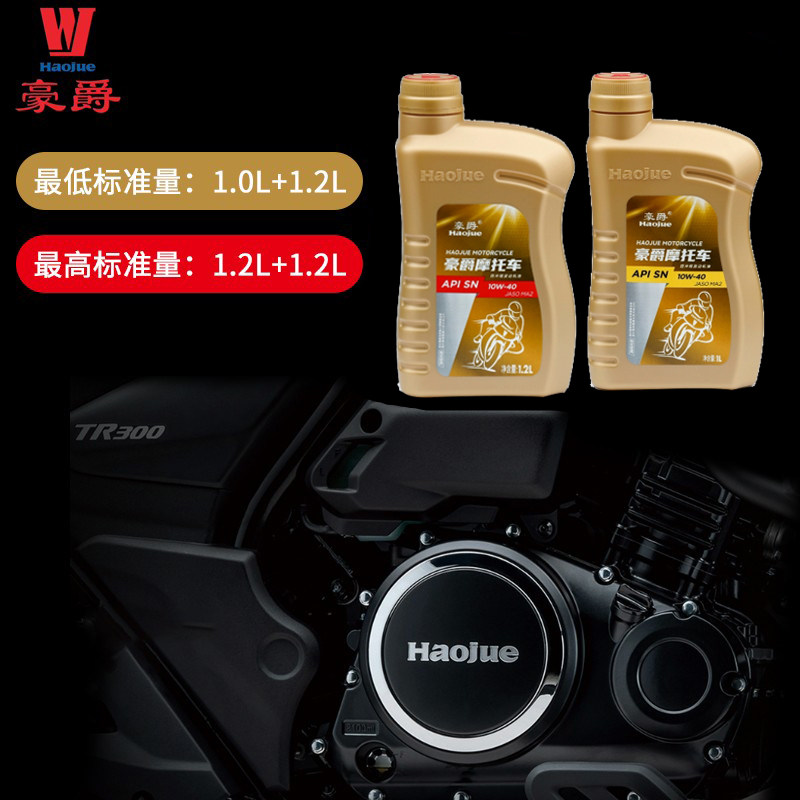 适用豪爵铃木GW250 DL250 GSX250 DR300摩托车全合成机油滤芯原装