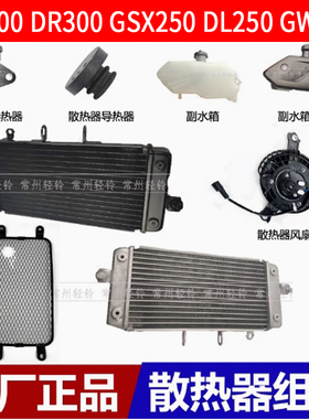 GW250 FS DL250 GSX250R DR TR300 水箱 散热器水壶电子风扇网罩