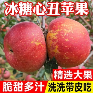 正宗昭通大凉山丑冰糖心苹果新鲜当季水果整箱包邮富士丑冰糖心苹