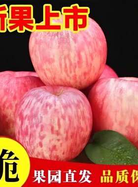 正宗烟台苹果脆甜应季糖心山东栖霞红富士新鲜苹果水果批发
