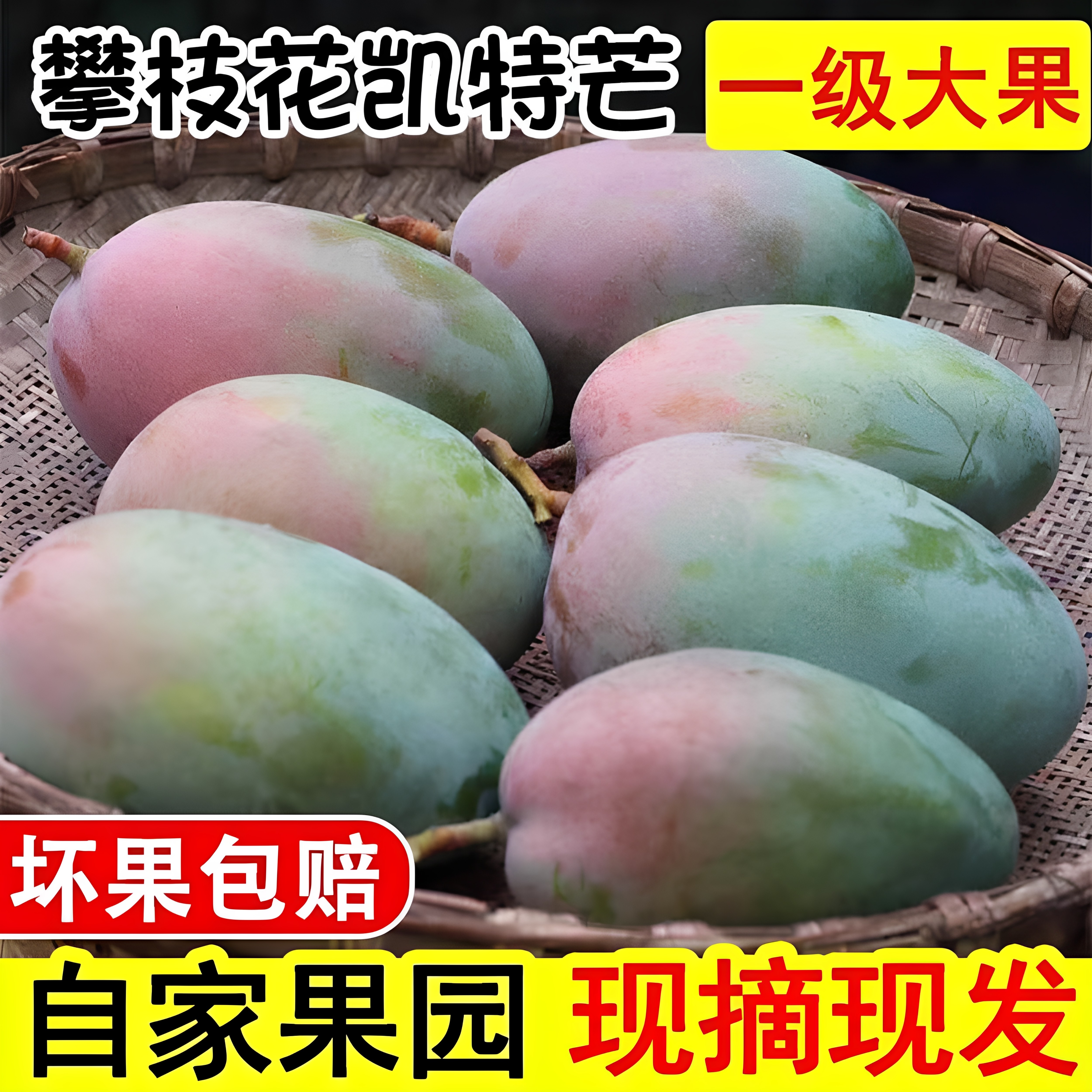 四川攀枝花凯特芒果新鲜应当季水果青忙果整箱批发