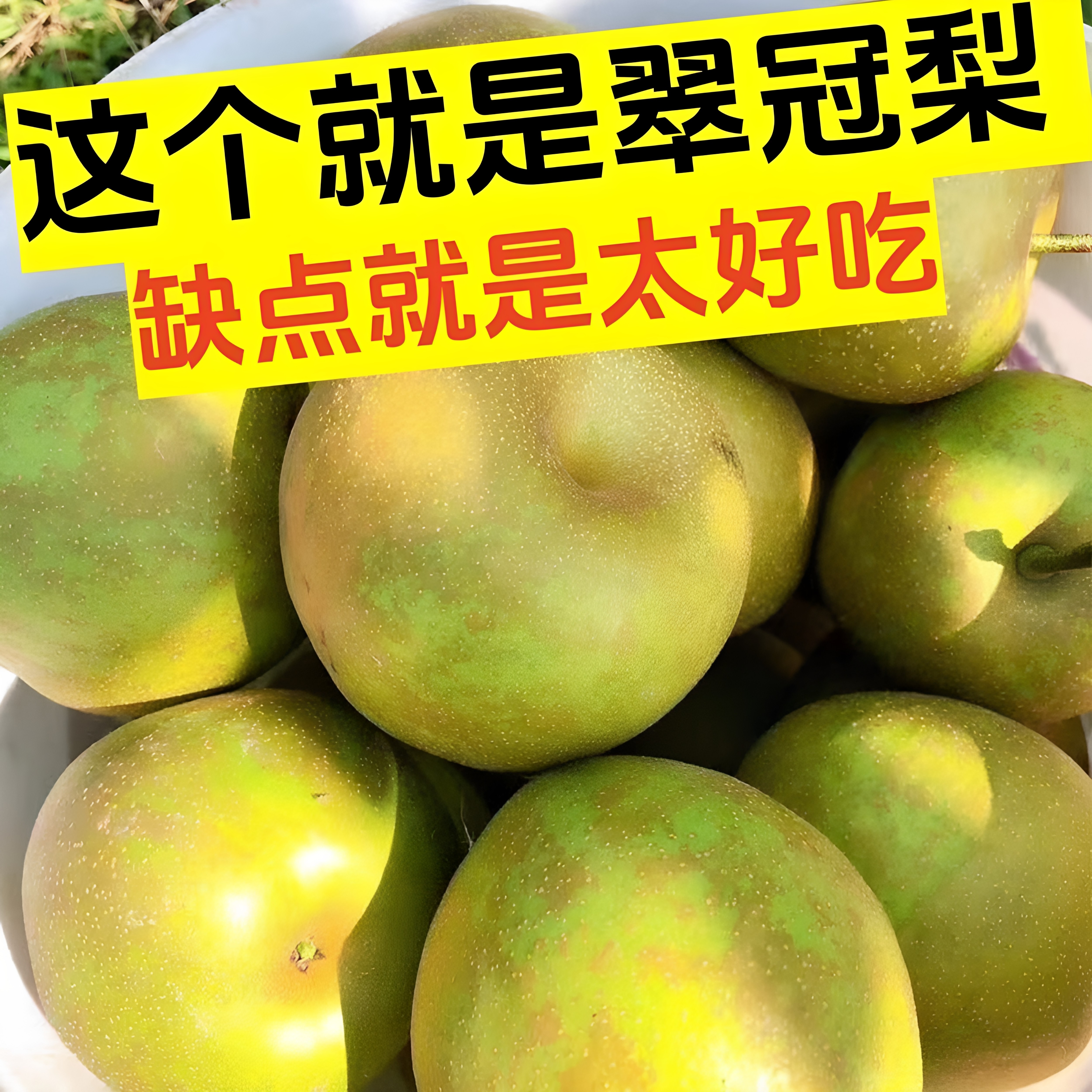 【正宗翠冠梨】新鲜水果应季青皮整箱产地现摘现发黄花梨脆甜香梨