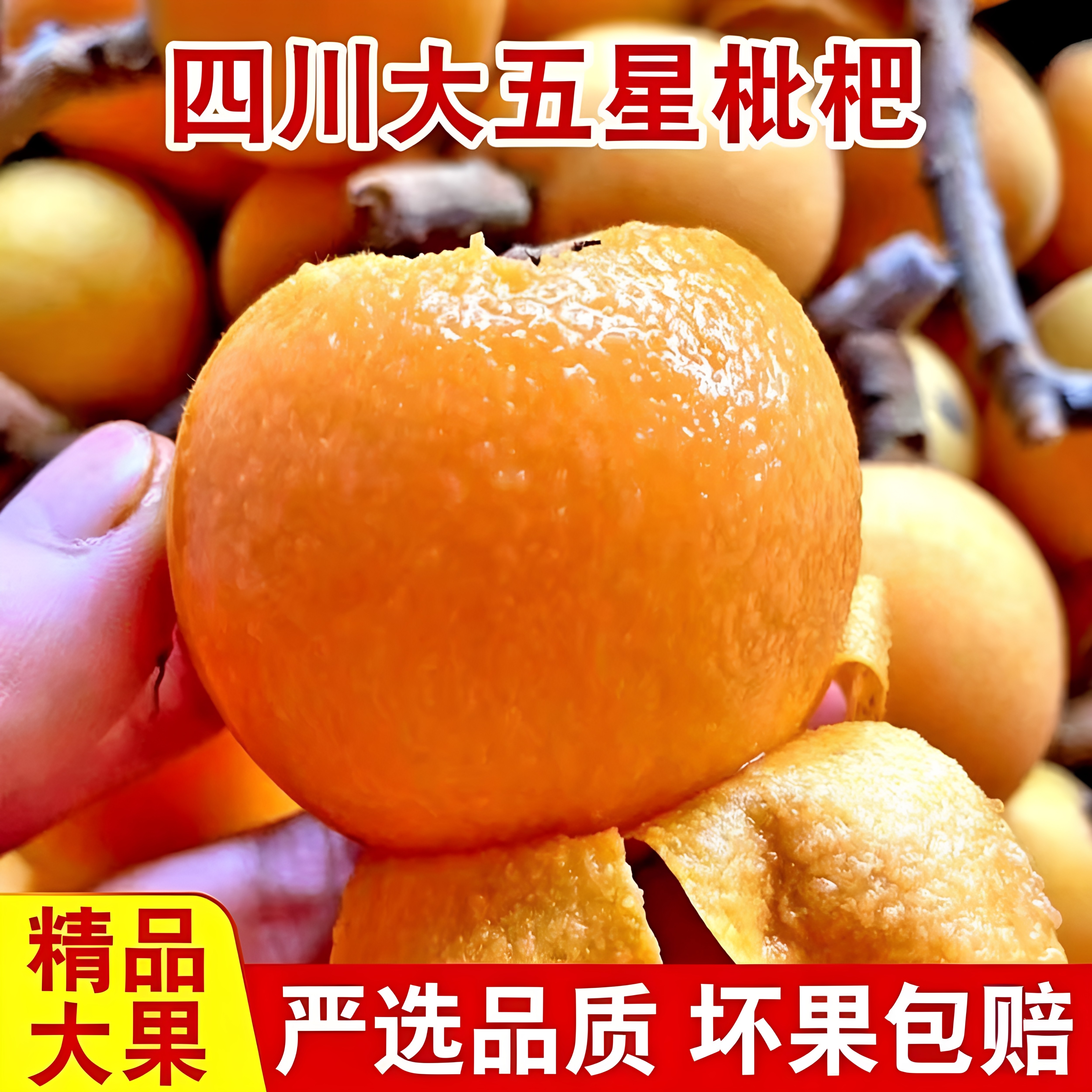 正宗四川大五星枇杷新鲜当季水果现摘孕妇甜枇杷大果早钟琵琶现摘