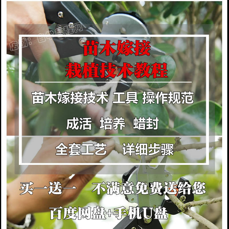 果树盆景嫁接视频教程种植养护修剪整形嫁接扦插压条压枝技术培训