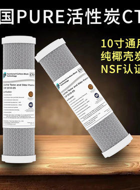 泰国PURE10寸通用CTO烧结活性炭