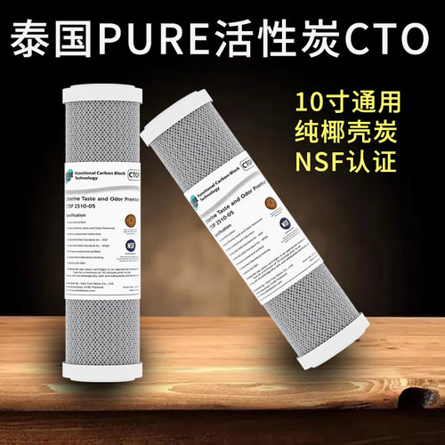 泰国PURE10寸通用CTO烧结活性炭