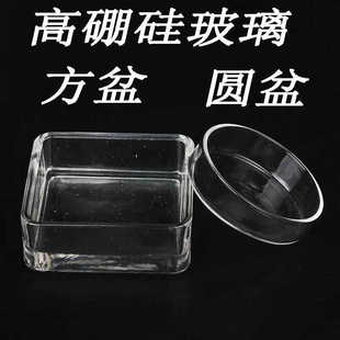 鱼缸水晶虾玻璃喂食盆方食盆圆盆观赏虾喂食器食盆虾粮盘饲料盆