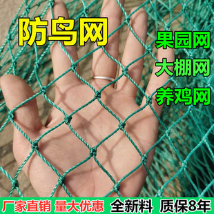 果园防鸟网养殖天网尼龙网大棚网鱼塘网养鸡天网