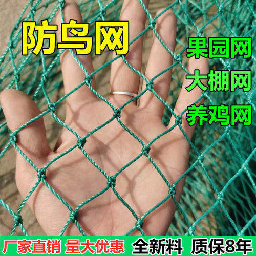 果园防鸟网养殖天网尼龙网大棚网鱼塘网养鸡天网