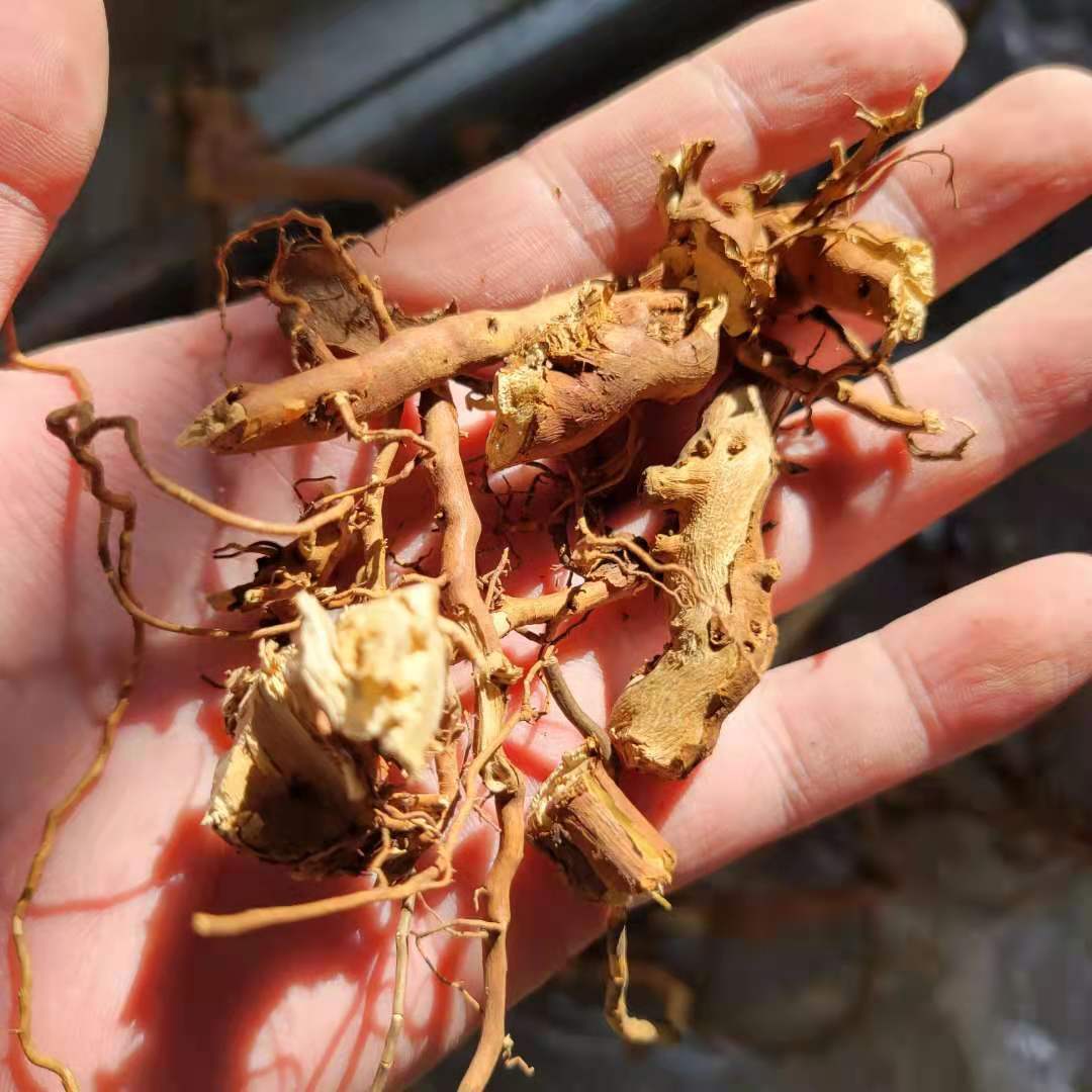 野生托莫根东北天然托摩根拖莫根脱莫根干货覆盆子根树莓根250g