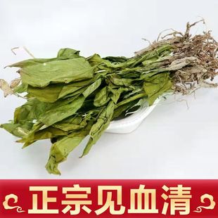 见血清中药材见血青中草药三角枫羊耳蒜立地好新鲜干货整颗500g