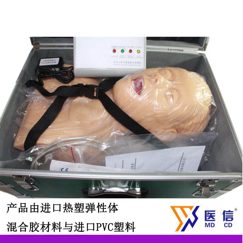 人体电子气管插管训练模型