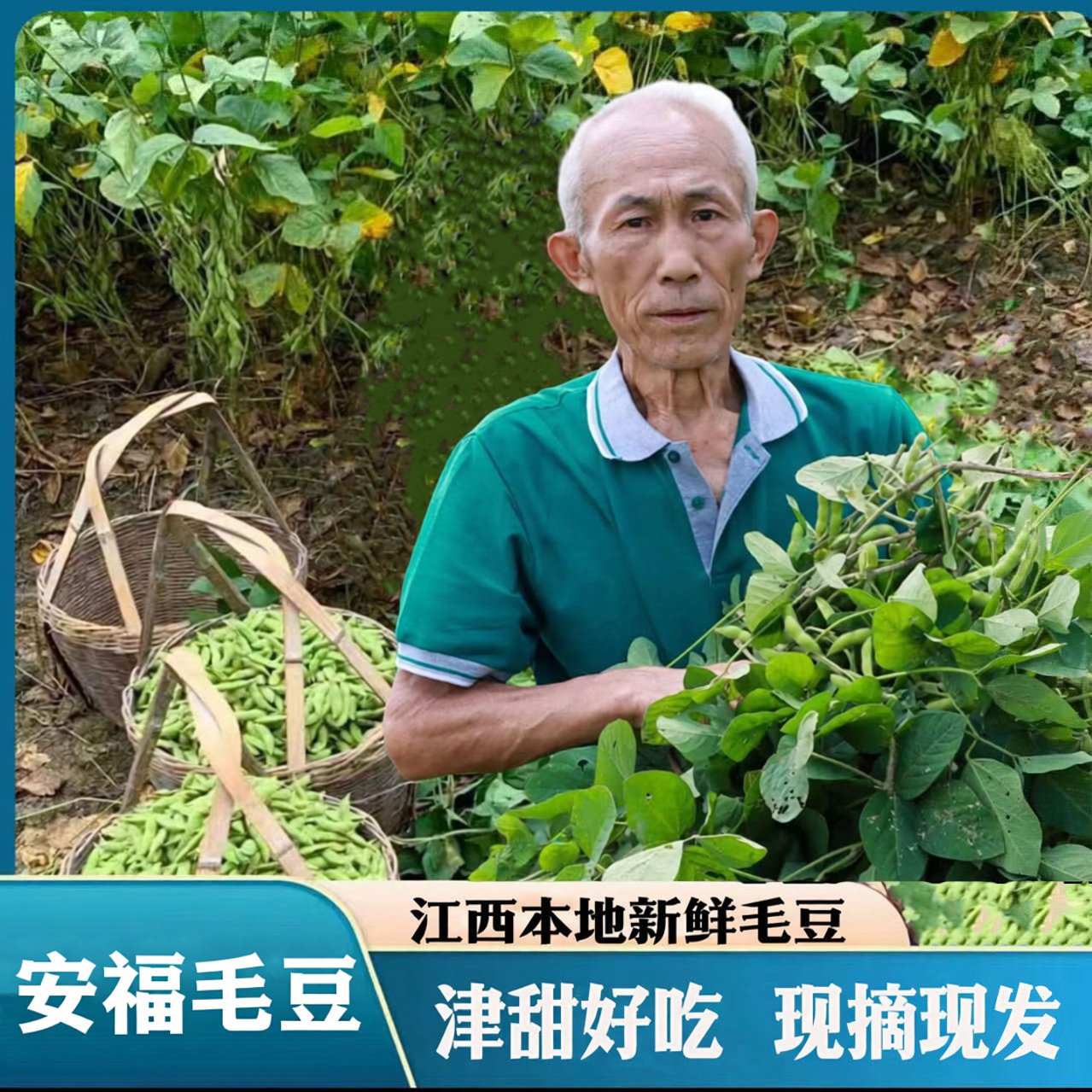 【安福毛豆】江西露天新鲜毛豆带壳青豆嫩豆荚黄豆本地农家扁毛豆