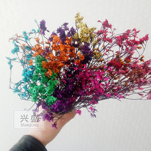 专用染料色粉着色剂芦苇大麦干花