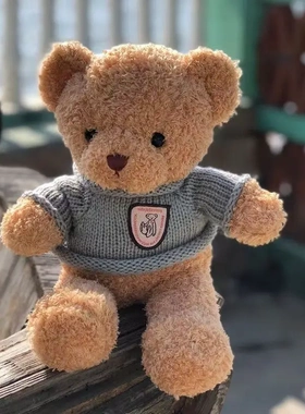 可爱泰迪熊毛绒玩具小熊公仔玩偶布娃娃情人节生日礼物送女朋友